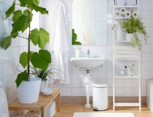 déco plantes pas cher